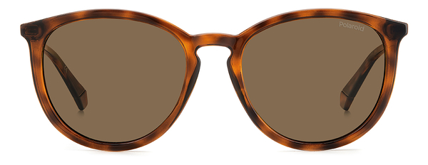 POLAROID-4143/S/X/S 086*SP HAVANA(BRONZE POLARIZED 53*18, Havana, hi-res 1