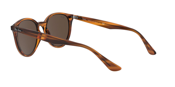 RB-4305 820/73 RED (DARK BROWN) 53*19, Havana, hi-res 4 RB-4305 820/73 RED (DARK BROWN) 53*19, Havana, hi-res 4