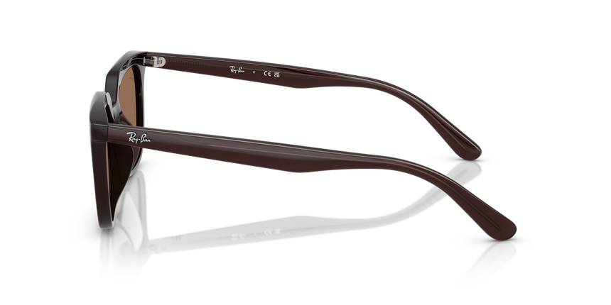 RB-4439D 623173 OPAL BROWN(DARK BROWN 54*21, Marró Opal, hi-res image number 2