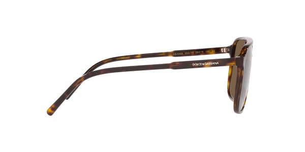 GABBANA-4423/S 502/73 HAVANA(DARK BROWN 58*18, , hi-res 2 GABBANA-4423/S 502/73 HAVANA(DARK BROWN 58*18, , hi-res 2