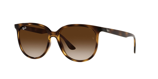 RB-4378 710/13 HAVANA(GRADIENT BROWN 54*16, Havana, hi-res 0