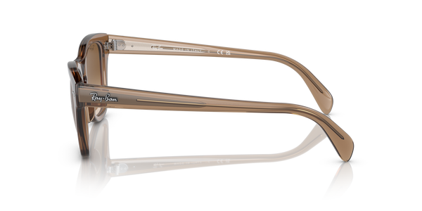 RB-0707S 664051 TRANSPARENT LIGHT BROWN(CLEAR GRADIENT BROW 53*21, Marró, hi-res 2