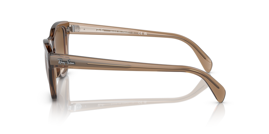 RB-0707S 664051 TRANSPARENT LIGHT BROWN(CLEAR GRADIENT BROW 53*21, Marró, hi-res image number 2