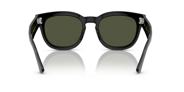 RB-0298S 901/31 BLACK(GREEN 53*21, , hi-res 3