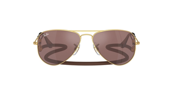 RJ-9506S 223/6G*3N ARISTA(BROWN MIRR SILVER + cordon marron 52*14, Daurat, hi-res 1