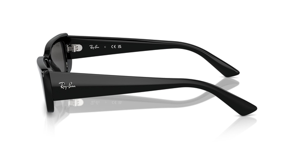 RB-4425 667787 BLACK(DARK GREY 54*17, Negre, hi-res 2