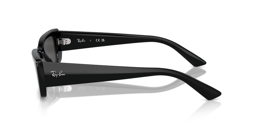RB-4425 667787 BLACK(DARK GREY 54*17, Negre, hi-res image number 2