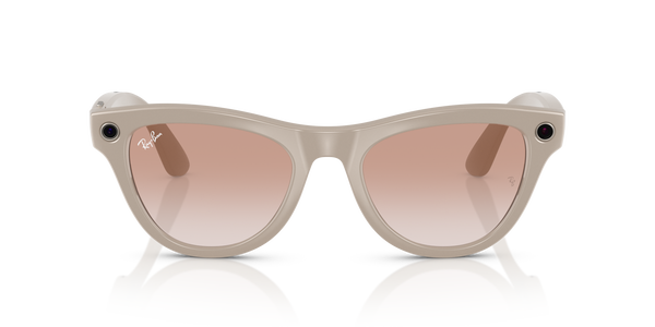 ray-ban meta skyler rw 4010