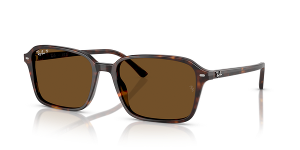 RB-2231 902/57 HAVANA(POLAR BROWN 58*18, Havana, hi-res 0