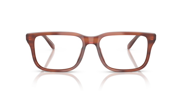 EMPORIO-3250U/G 6203 SHINY HAVANA BROWN 56*17, , hi-res 1