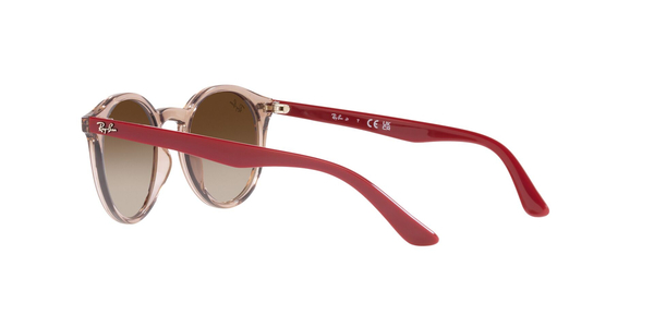 RJ-9064S 712313 TRASPARENT BROWN(GRADIENT BROWN 44*19, Transparent, hi-res 8