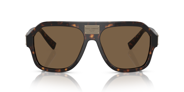 gabbana-4433/s 502/73 (dark brown 58*16