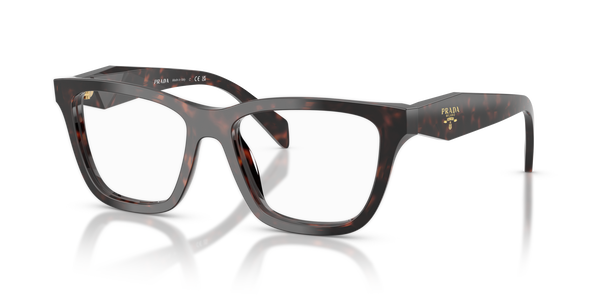 PRADA- C10V/G 17N1O1 ROOT TORTOISE 54*17, , hi-res 0