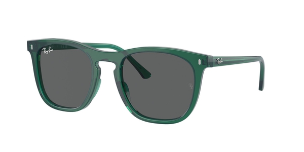 RB-2210 6615B1 TRANSPARENT GREEN(DARK GREY 53*21, Verd transparent, hi-res 0