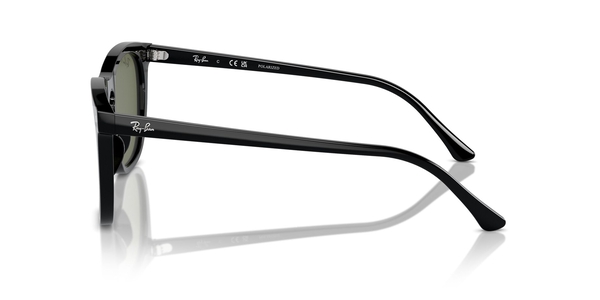 RB-2210 901/58 BLACK(POLAR GREEN 53*21, Negre, hi-res 2