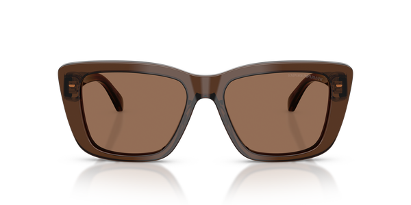 EMPORIO-4246U/S 625173 SHINY TRANSPARENT BROWN(DARK BROWN 54*17, , hi-res 1