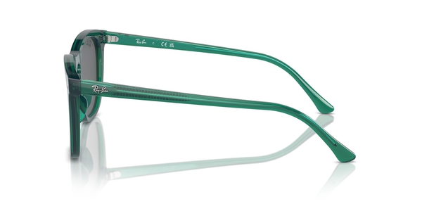 RB-2210 6615B1 TRANSPARENT GREEN(DARK GREY 53*21, Verd transparent, hi-res 2