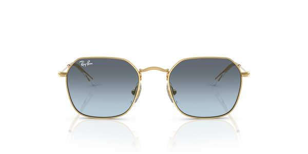 RJ-9594S 223/V1 ARISTA (BLUE GRADIENT GREY) 49*19, , hi-res 1