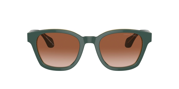 ARMANI-8207/S 608613 TOP GREEN/TRANSPARENT OLIVE(GRADIENT BROWN 50*21, , hi-res 1