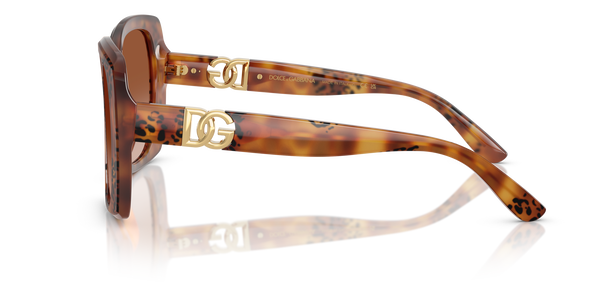 GABBANA-4475/S 338013 HAVANA LEO(BROWN GRADIENT 56*19, Havana leopard, hi-res 2