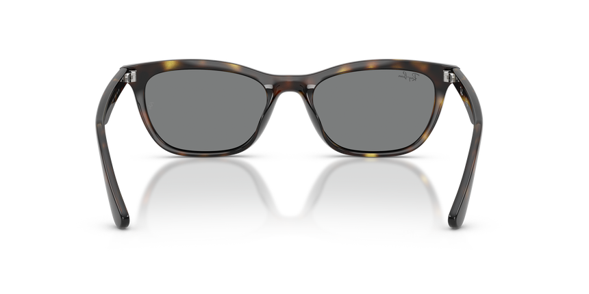 RB-4474D 710/87 HAVANA(DARK GREY 54*18, Havana, hi-res image number 3