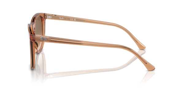 RB-2210 676451 TRANSPARENT BROWN(CLEAR GRADIENT BROWN 53*21, Marró transparent, hi-res 2