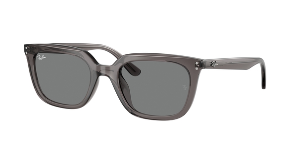 RB-4439D 667587 TRANSPARENT GREY(DARK GREY 54*21, Gris transparent, hi-res 0