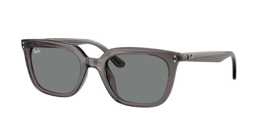 RB-4439D 667587 TRANSPARENT GREY(DARK GREY 54*21, Gris transparent, hi-res image number 0