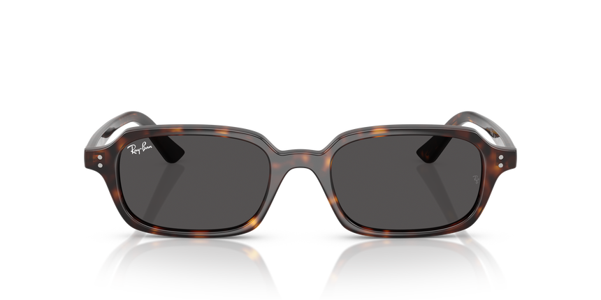 RAY-BAN ZURI RB 4455, , hi-res image number 1