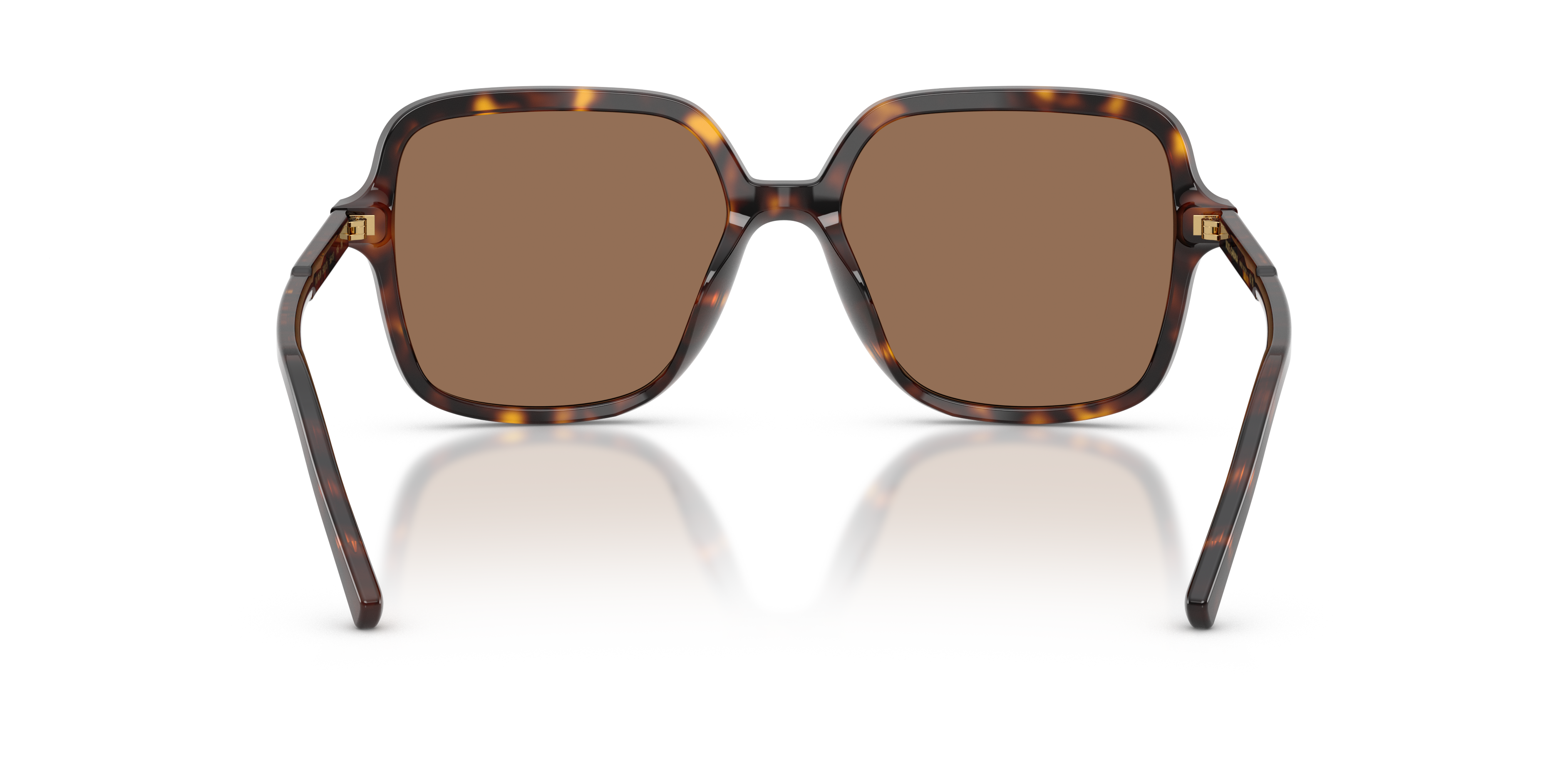 GABBANA-4539/S 502/73 HAVANA(DARK BROWN 55*17, , hi-res image number 3