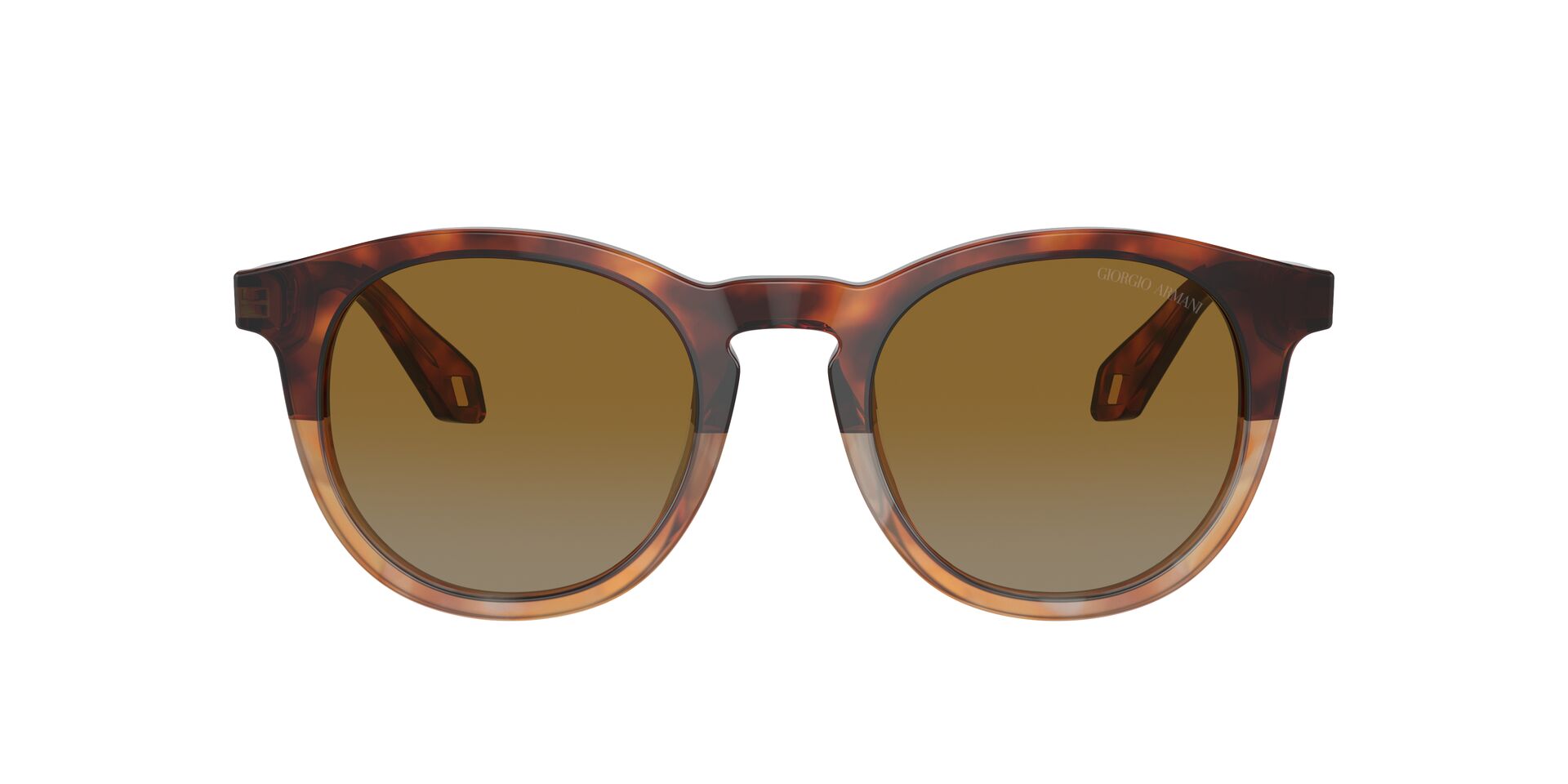 ARMANI-8192/S 6034B2 RED HAVANA/HONEY HAVANA(LIGHT GREY GRADIENT YELLOW 50*21, Havana vermell, hi-res image number 1