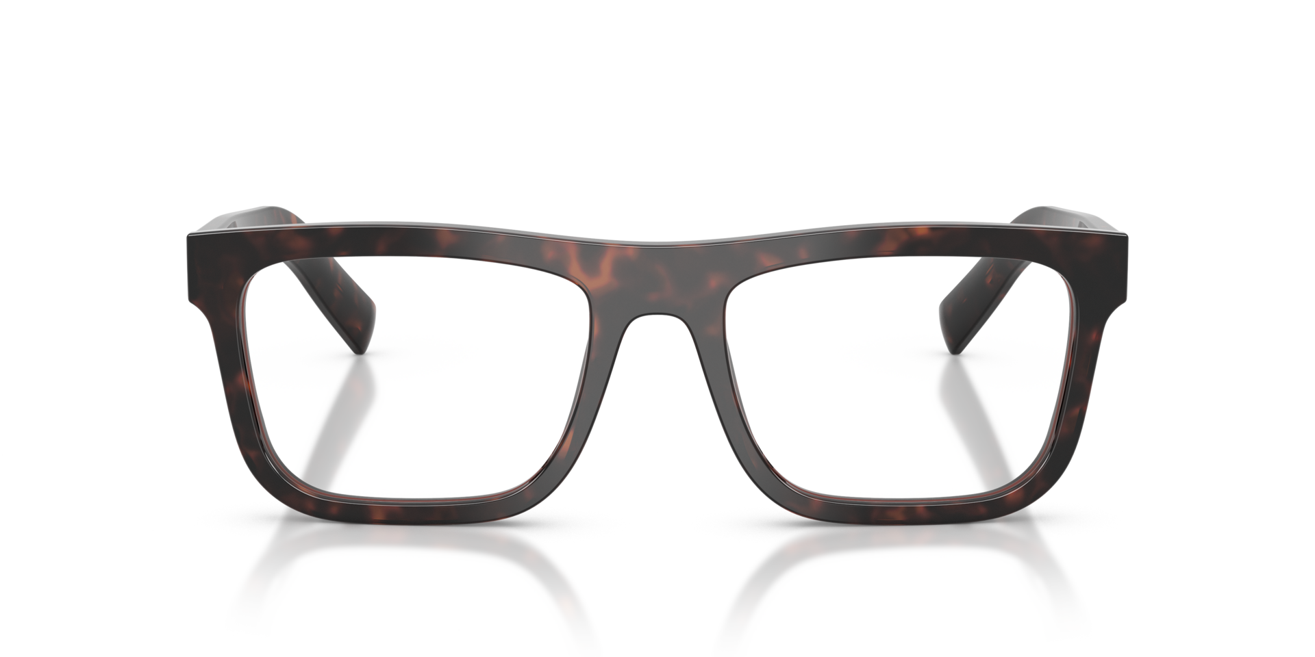 PRADA- C03V/G 17N1O1 ROOT TORTOISE 55*19, , hi-res image number 1