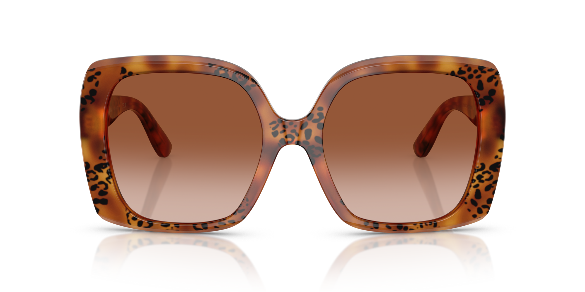 GABBANA-4475/S 338013 HAVANA LEO(BROWN GRADIENT 56*19, Havana leopard, hi-res image number 1