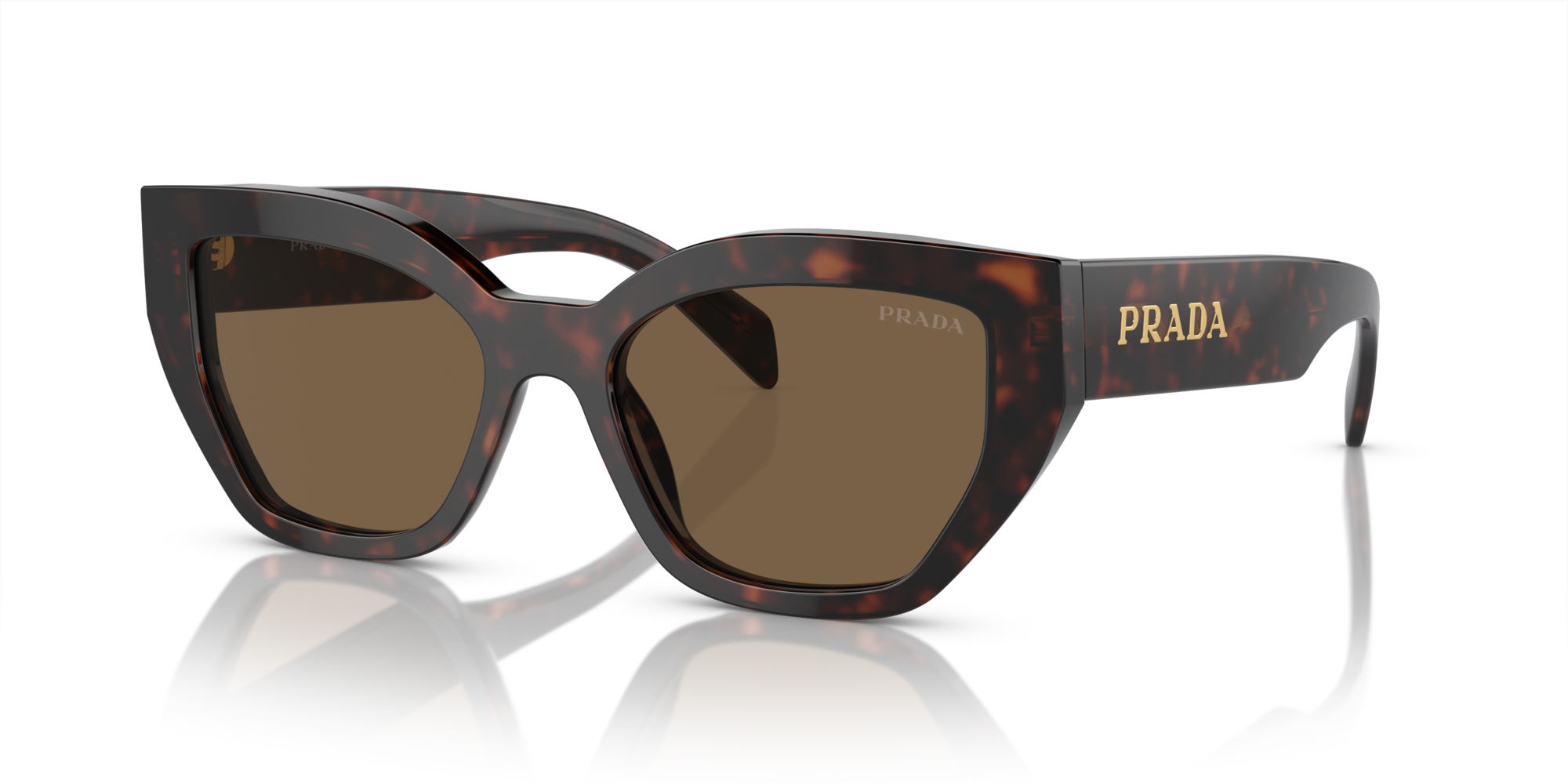 PRADA-A09S/S 16N5Y1 BROWN 53*18, Carey de brezo, hi-res image number 0